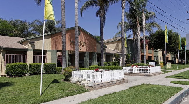 Building Photo - Palm Court Apartments