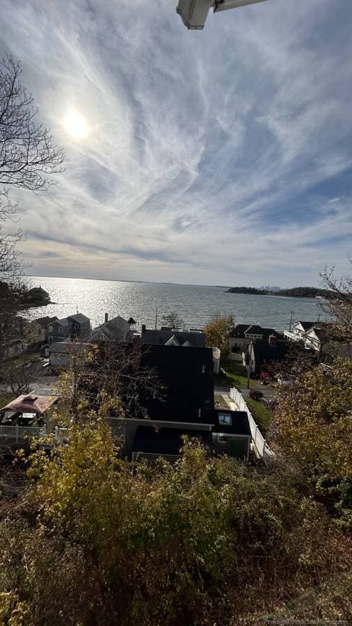 Building Photo - 293 Nahant Rd
