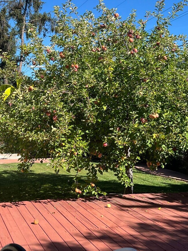 Building Photo - 3 Bedroom 2.5 Bath Home in San Jose with Private Back Yard