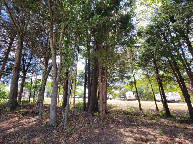 Building Photo - Cute Tiny Home near Cedar Creek Lake.  Fur...