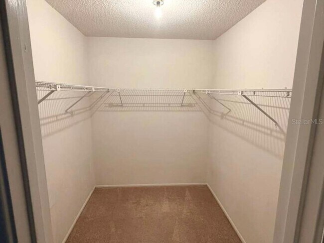 Building Photo - 1311 Alfonzo Cir