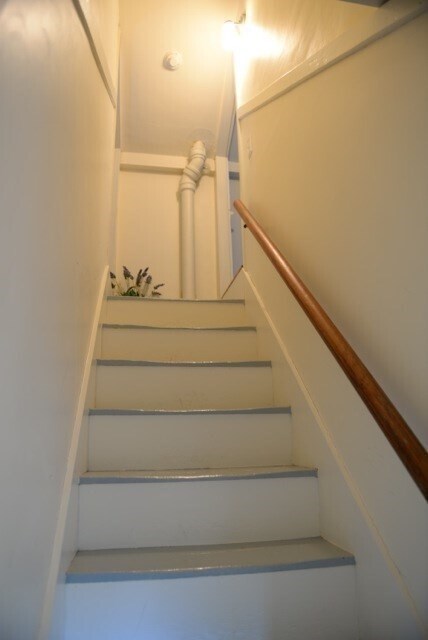 Building Photo - 249 Forest St