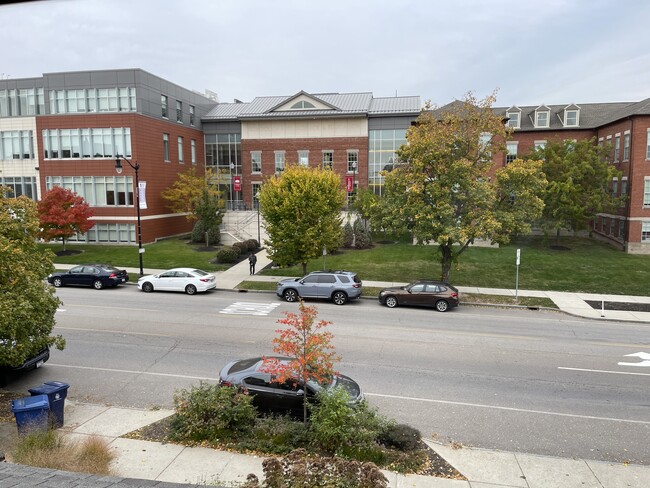 View from Living Room - 596 Niagara St