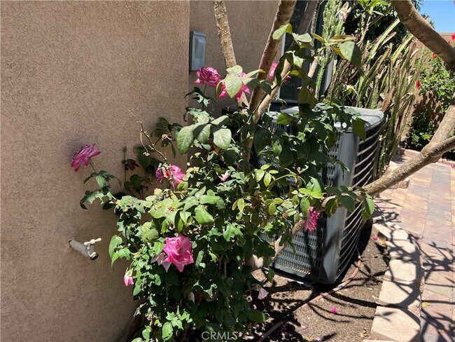 Building Photo - 77184 California Dr