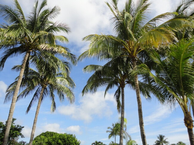 Building Photo - 145 Beacon Ln