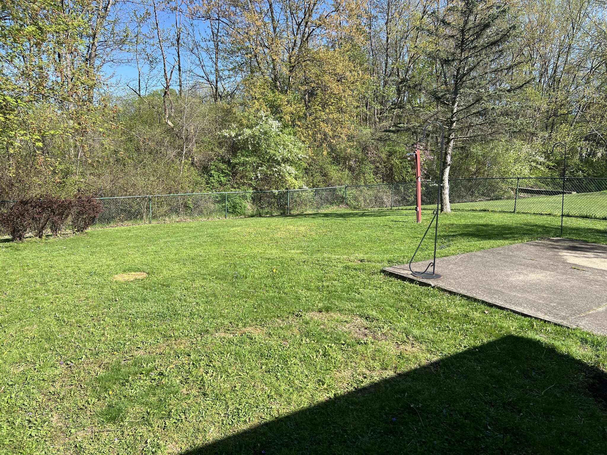 Back Yard - 5633 Opal St