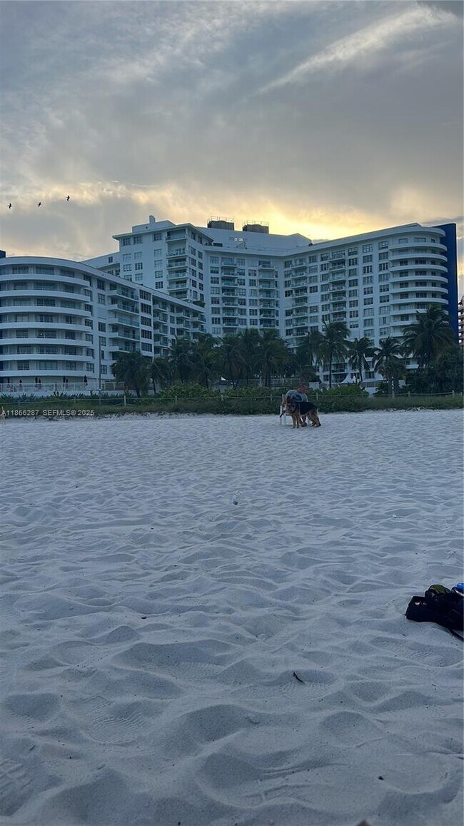 Building Photo - 5161 Collins Ave