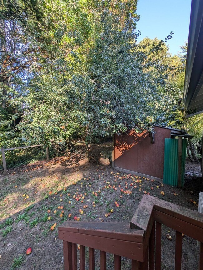 Building Photo - Two Bedroom for Rent in Brownsville! Large & Private Lot, Pets Allowed, Close to Bases & More!