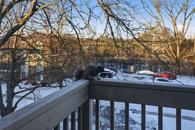 Building Photo - 209 W Ct of Shorewood