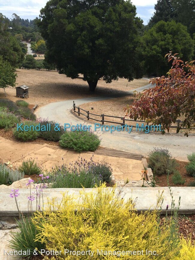 Building Photo - 3 br, 3 bath House - 2000 Cox Rd.