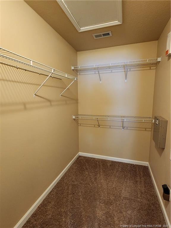 Building Photo - 931 Screech Owl Dr