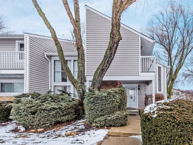 Primary Photo - 749 Cove Ct