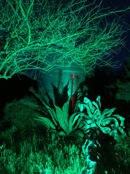 All lit up in a glow of green - 13915 Mussey Grade Rd