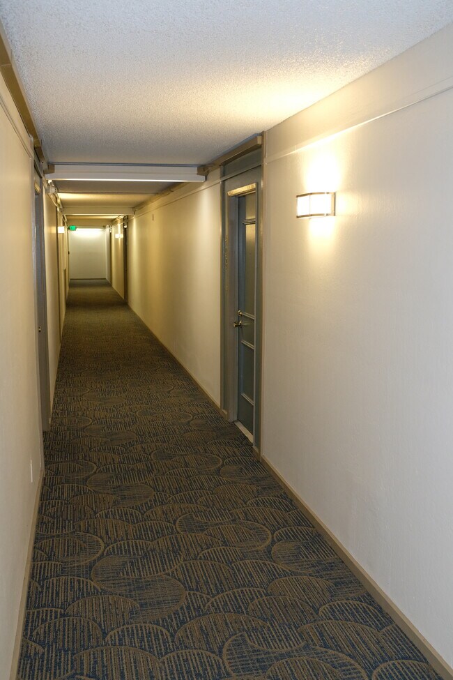 Hall - 330 N Civic Dr