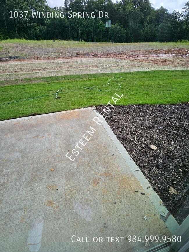 Building Photo - 1037 Winding Spg Dr