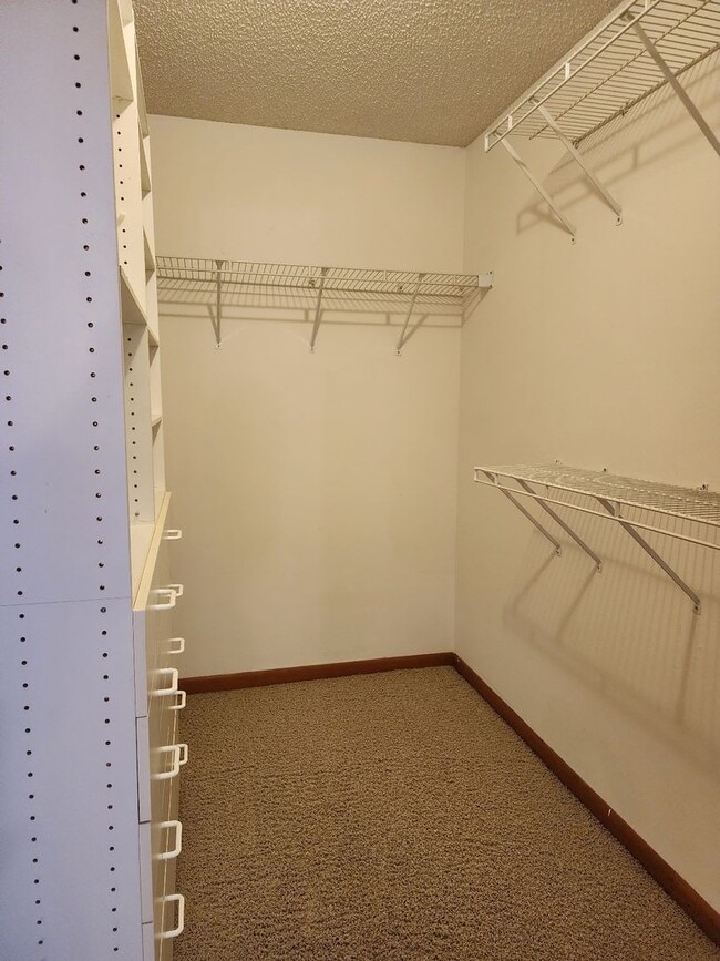 Building Photo - Step into luxury living with this stunning residence!