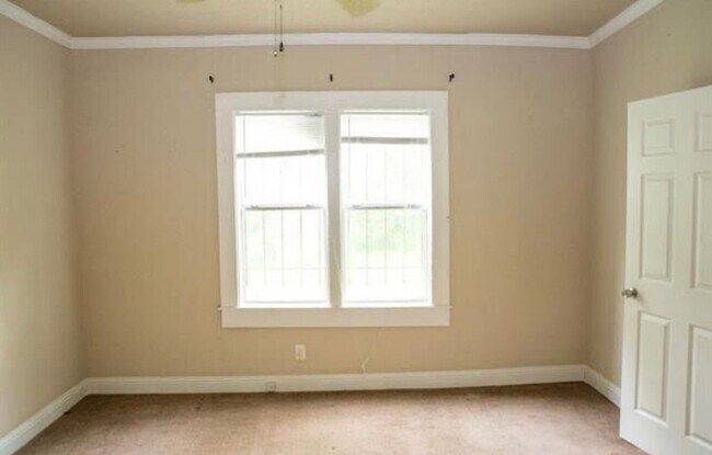 Building Photo - Spacious and Cute!!