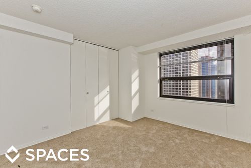 Building Photo - 1133 N Dearborn St