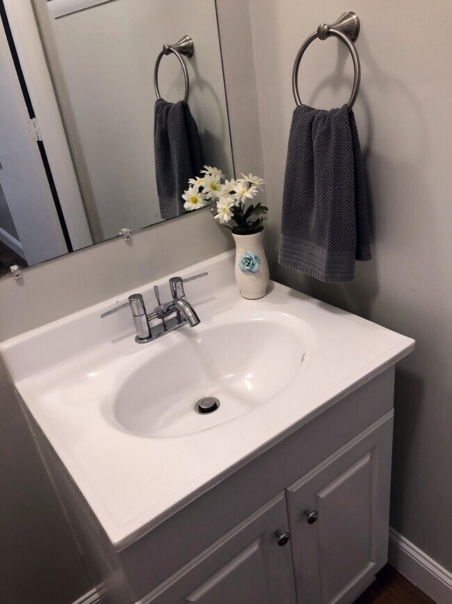 1/2 Bath in Main Bedroom - 3413 Lisa Dr