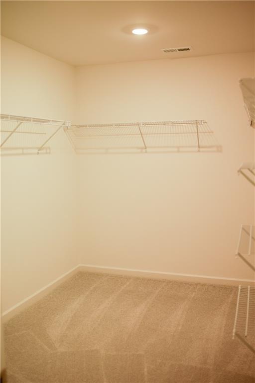 Building Photo - 484 Red Dragon Dr