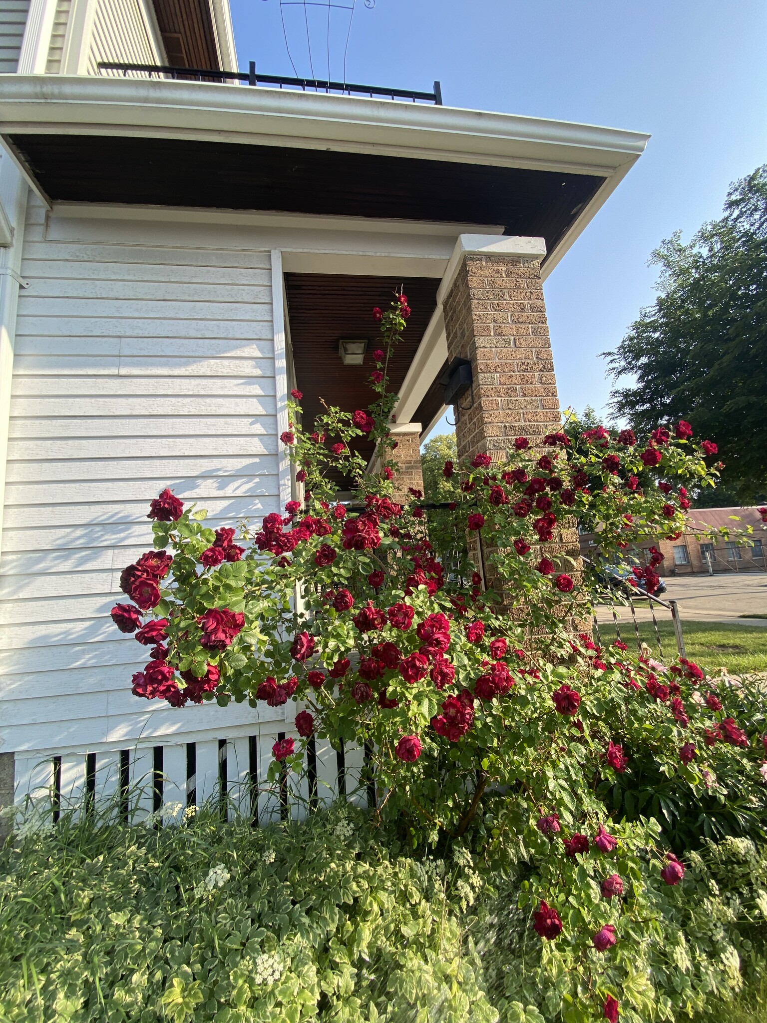 Building Photo - 414 N 63rd St