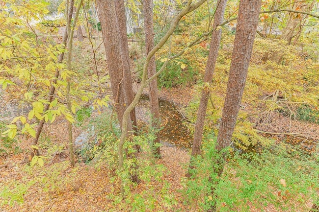 Building Photo - 12636 Briar Patch Dr