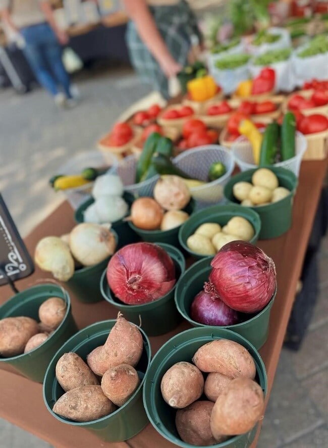 Building Photo - 518 Clinton St