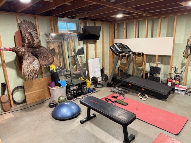 portion of basement - 3118 31st St S