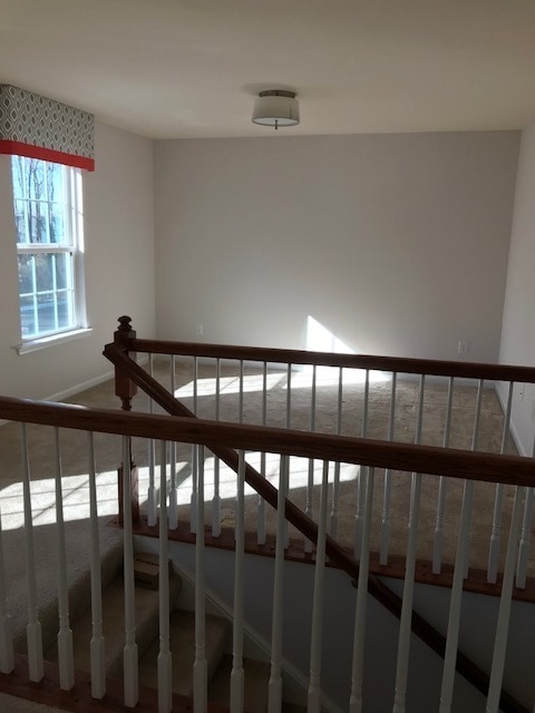 Building Photo - HAMPTON- BEAUTIFUL BRAND NEW MODEL HOME FOR RENT!!