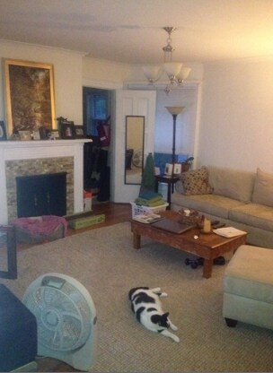 Interior Photo - 168 Harvard St