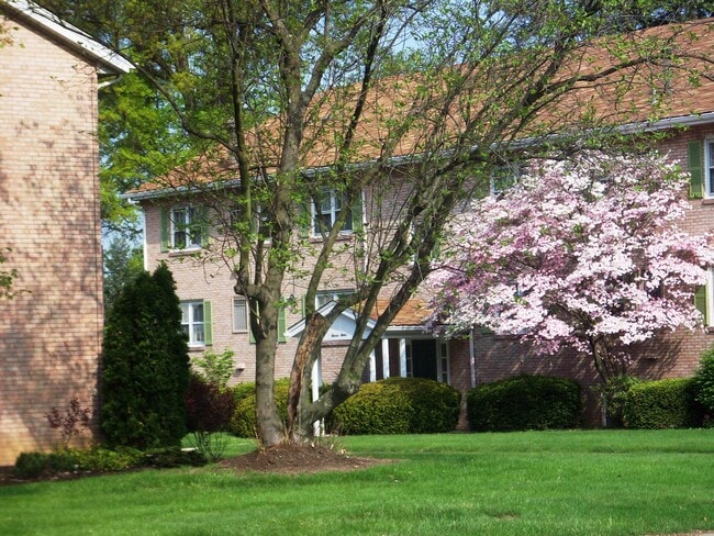 Winfield Apartments - 1120 Bank St
