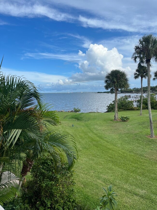 Backyard view - 4973 Riveredge Dr