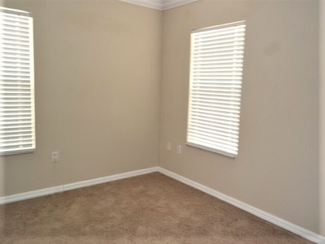 Building Photo - 3009 Park Ridge Ave