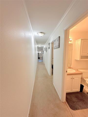 Building Photo - 5529-5531 Mesa Cir
