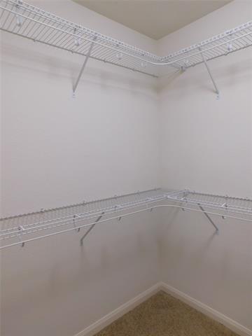 Building Photo - 4612 Shy Creek Ln