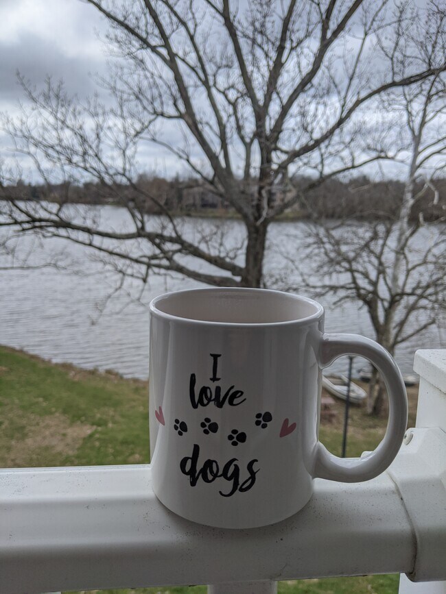 Morning coffee overlooking the lake is perfect year-round. - 2414 Lake Park Rd