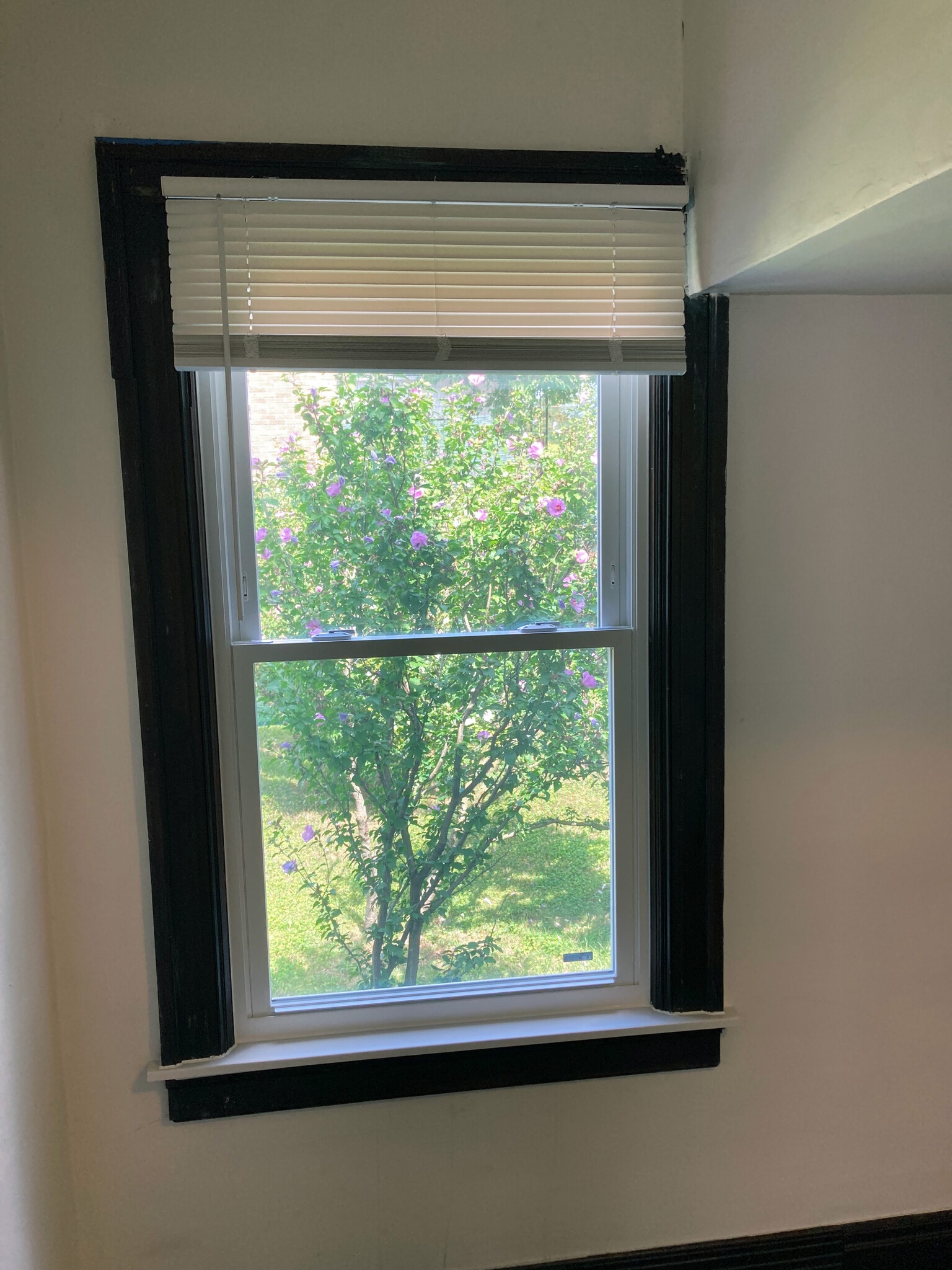 1st Bedroom Window - 12087 Saint Aubin St