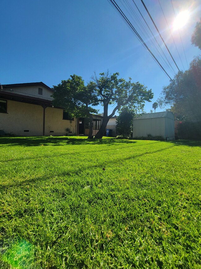 View of BACKYARD towards the house - 12051 Alberta Dr