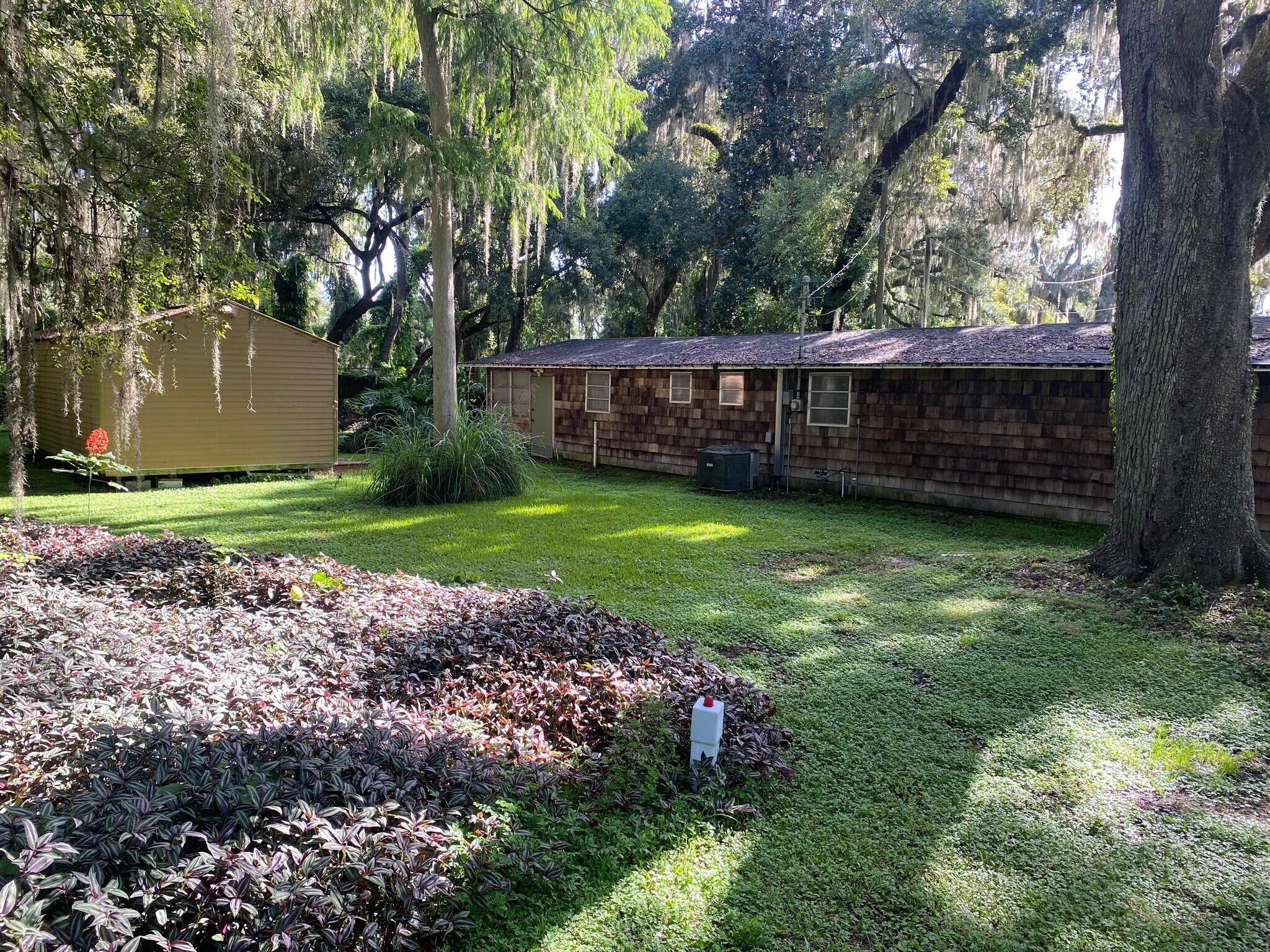 Backyard with shed/ workout room - 1816 Co Rd 432