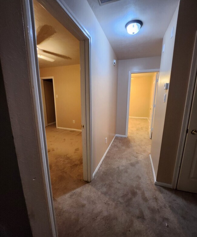 Building Photo - 2007 Goldspring Ln