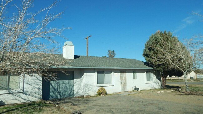 Primary Photo - 3702