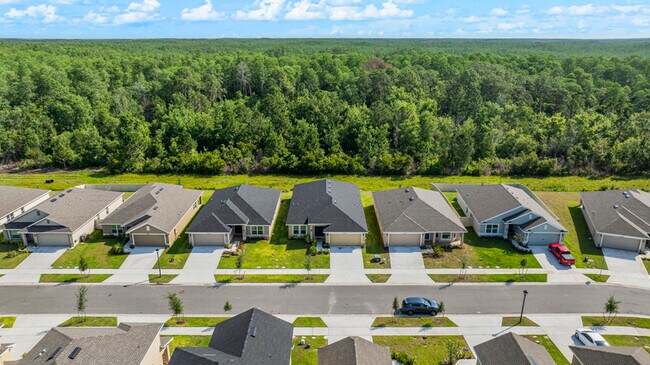 Building Photo - 4370 Sagefield Dr