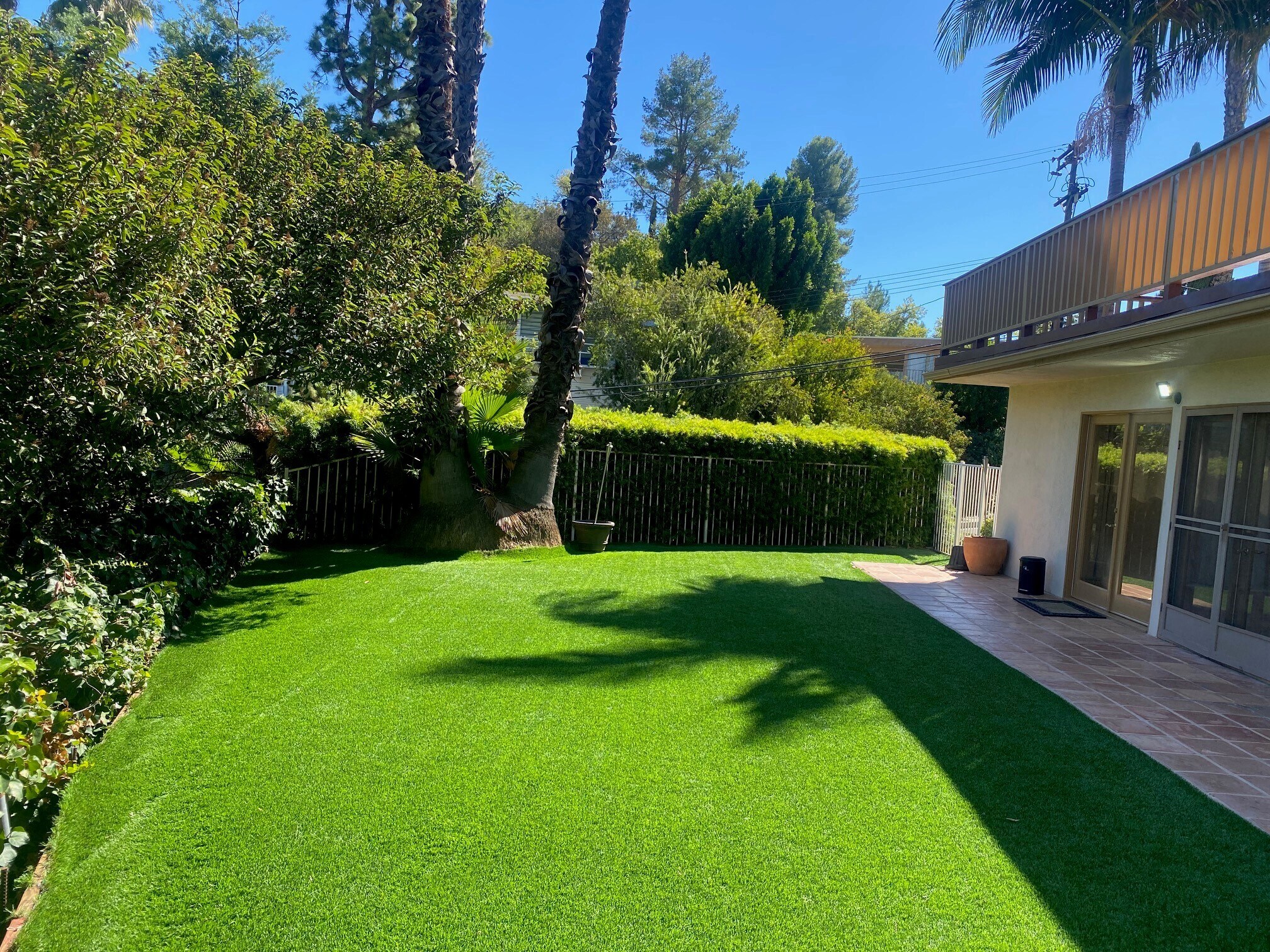 Huge backyard with artificial turf - 4421 Grimes Pl