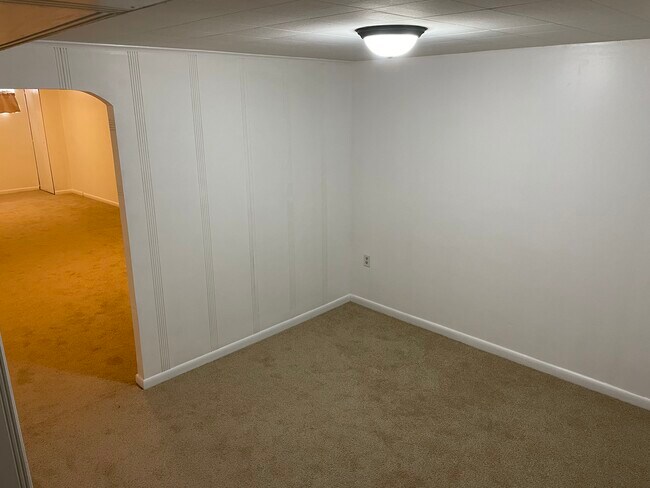 Bonus room basement - 7310 Valley St