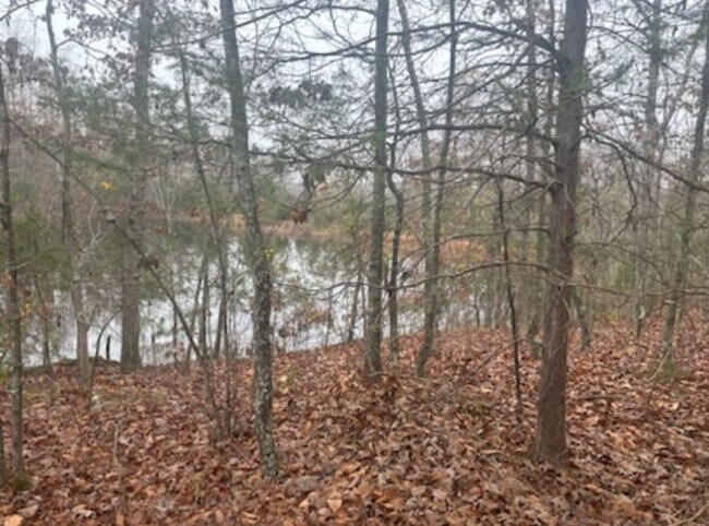 Building Photo - 13.2-Acres With Cabin! - $ 890 Month / $15...
