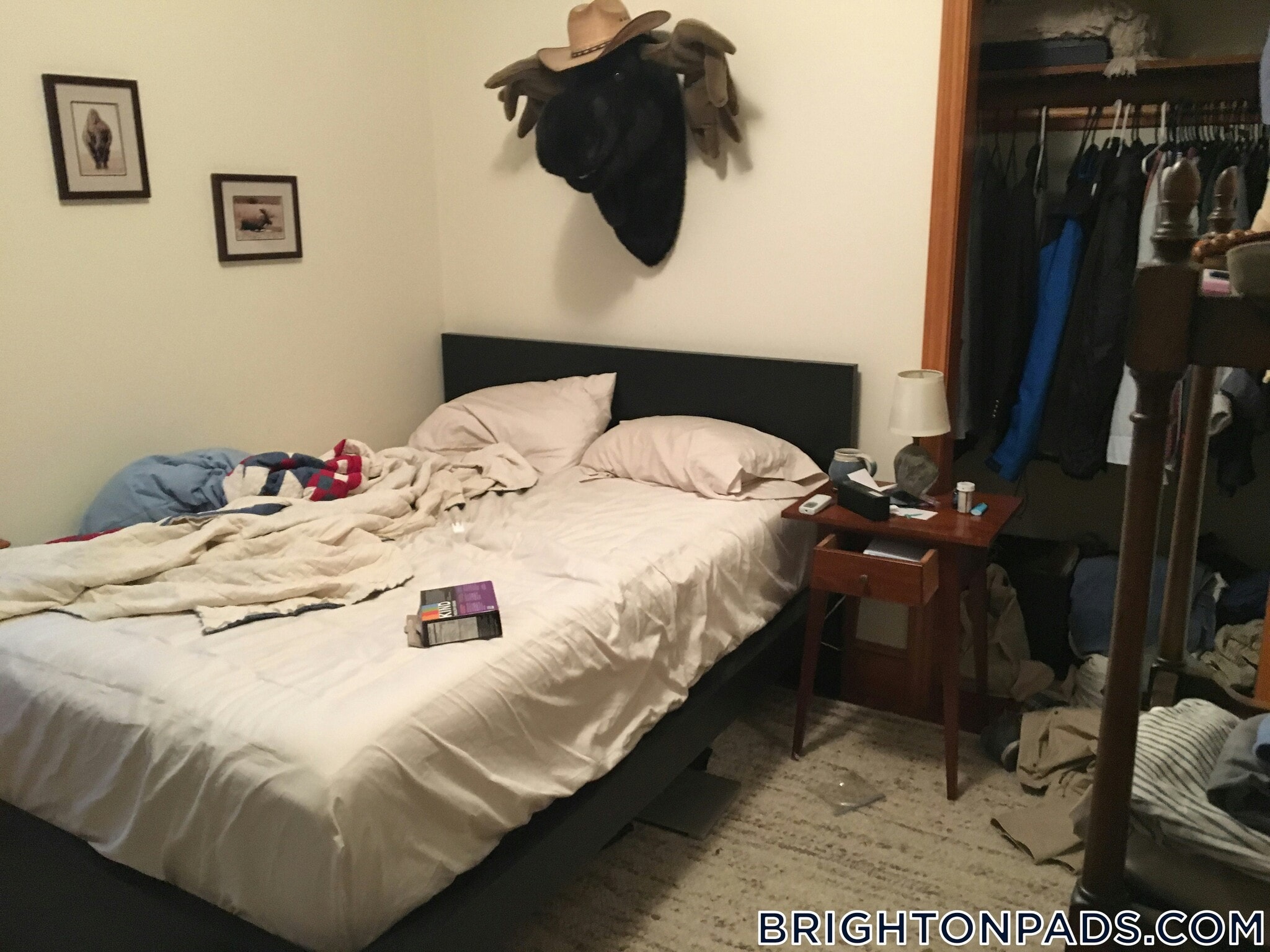 Building Photo - 12 Montcalm Ave