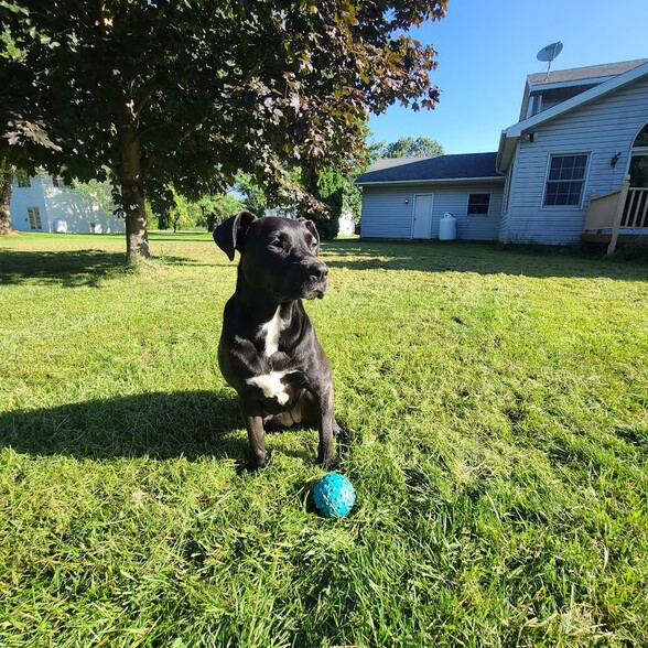 Building Photo - 80 Lower Newtown Rd
