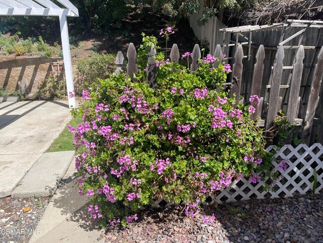 Building Photo - 659 Flaming Star Ave