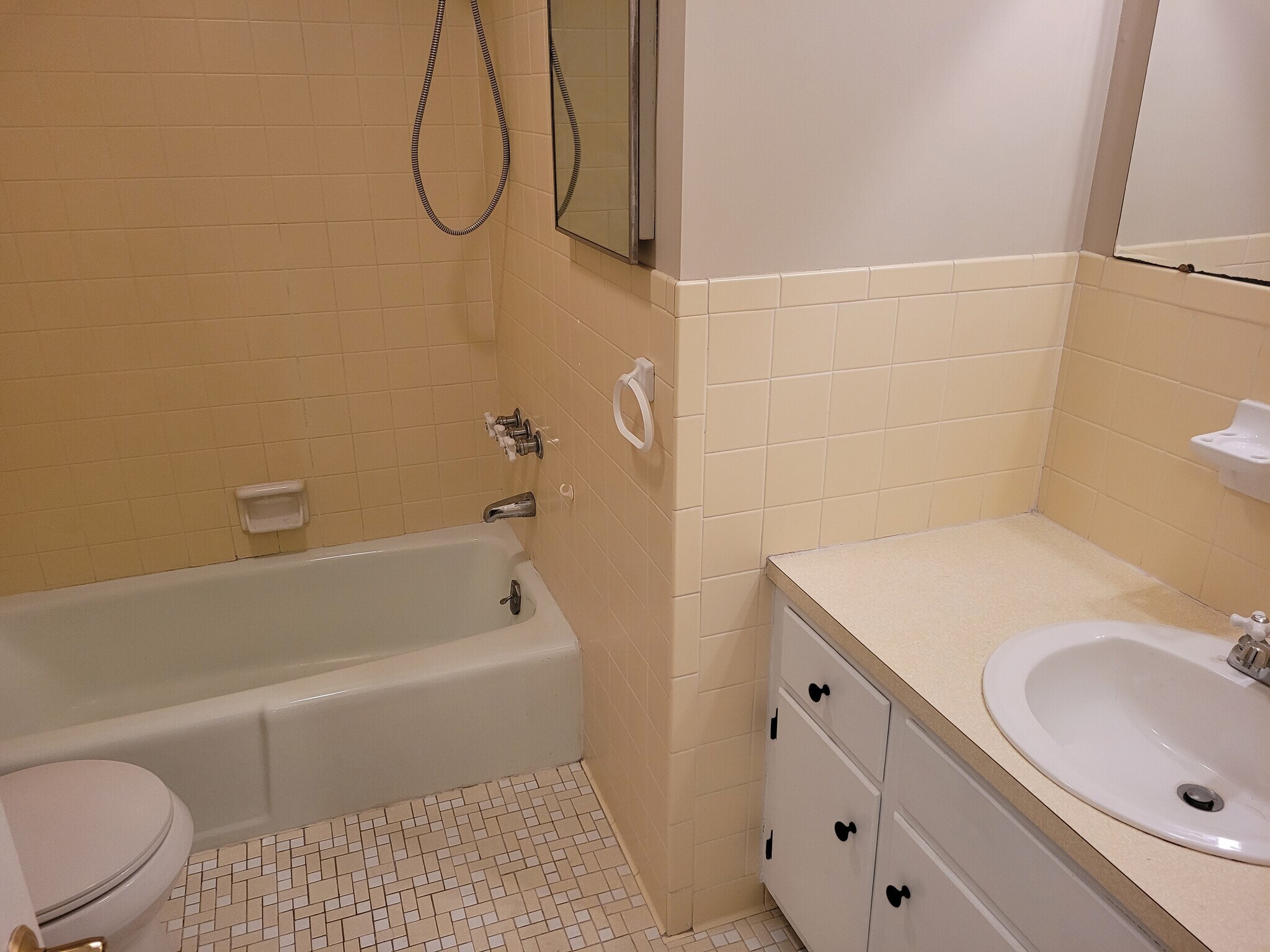 Main Bathroom - 181 Windsor Castle Dr