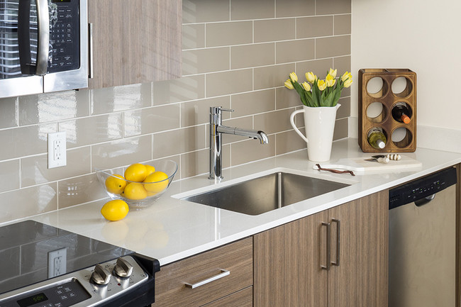 Quartz Counters - Gunbarrel Center